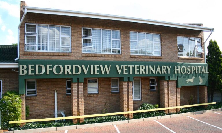 Bedfordview Veterinary Hospital logo